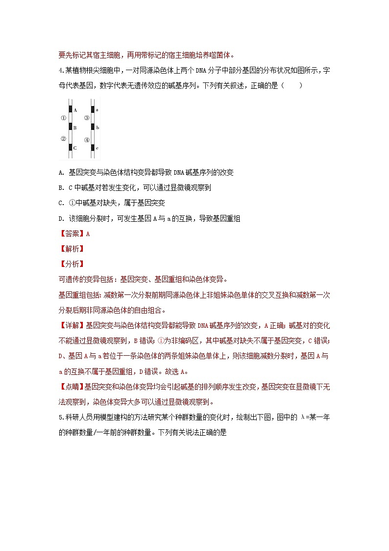 高中生物宁夏石嘴山三中2018届高三生物三模试卷（含解析）第3页