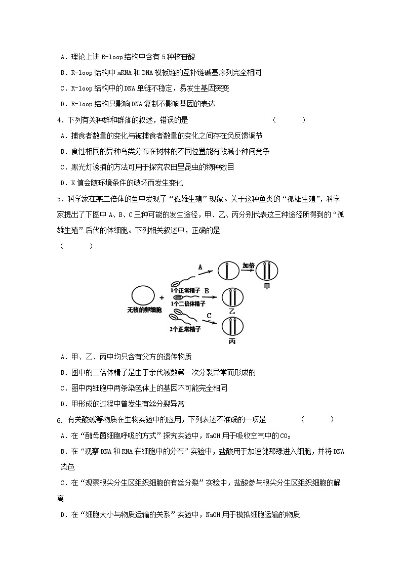 高中生物宁夏石嘴山市第三中学2019届高三生物下学期三模考试试题第2页