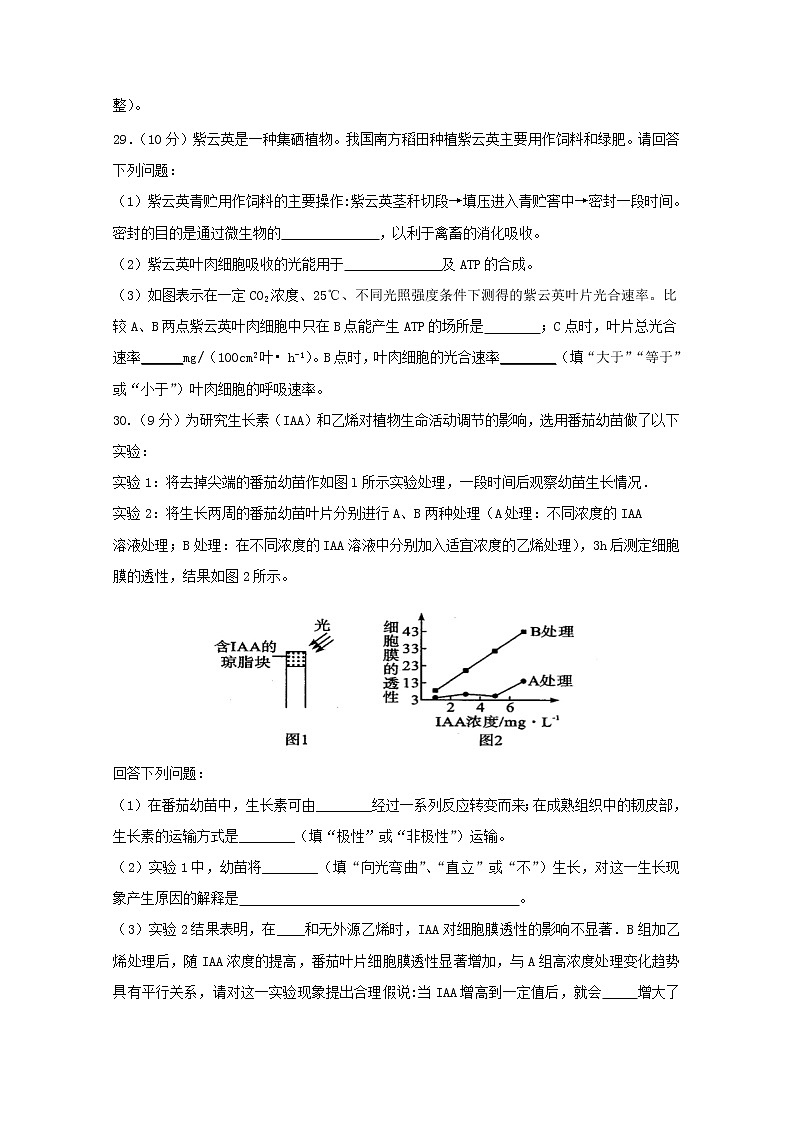 高中生物宁夏石嘴山市第三中学2019届高三生物下学期三模考试试题第3页