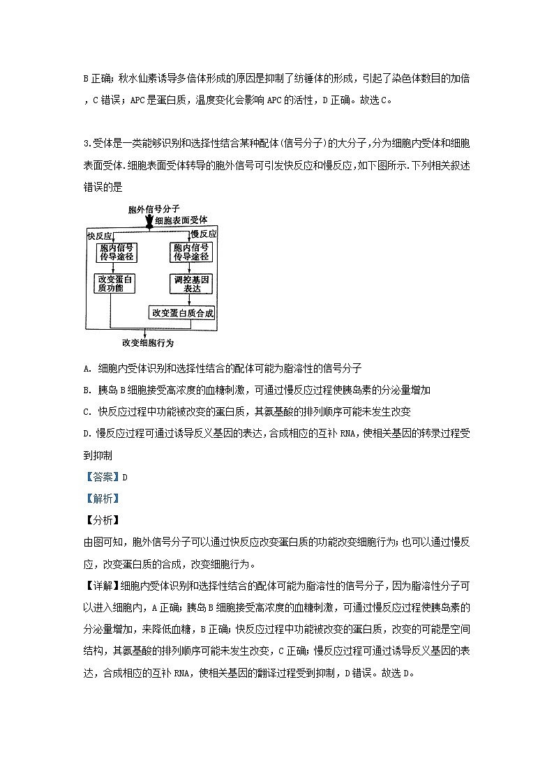 高中生物山东省聊城市2019届高三生物二模考试试卷（含解析）02