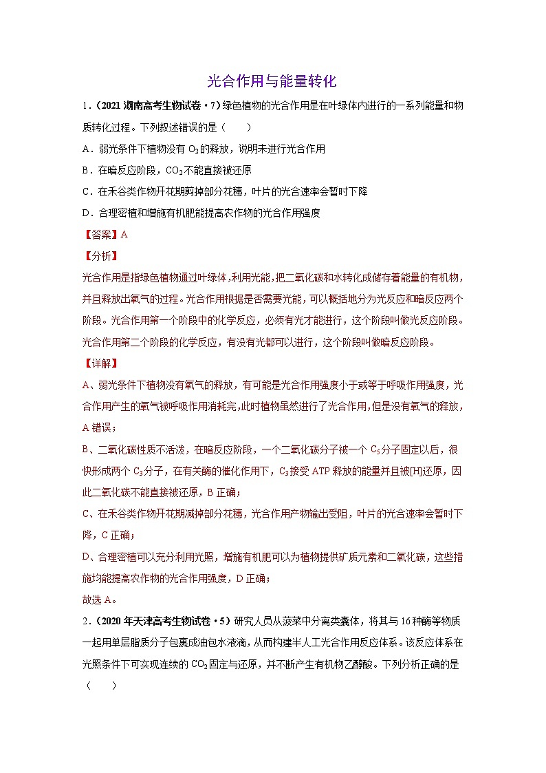 高中生物考点精讲6 光合作用与能量转化（作业）第1页