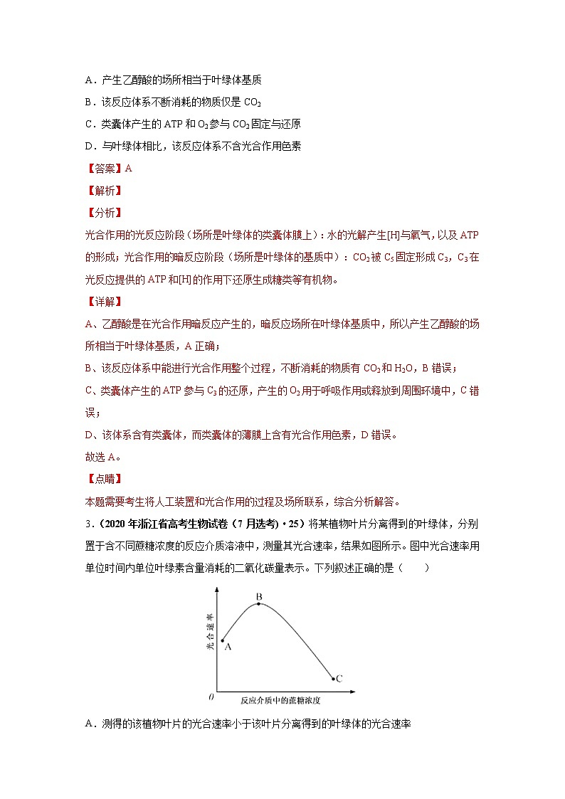 高中生物考点精讲6 光合作用与能量转化（作业）第2页