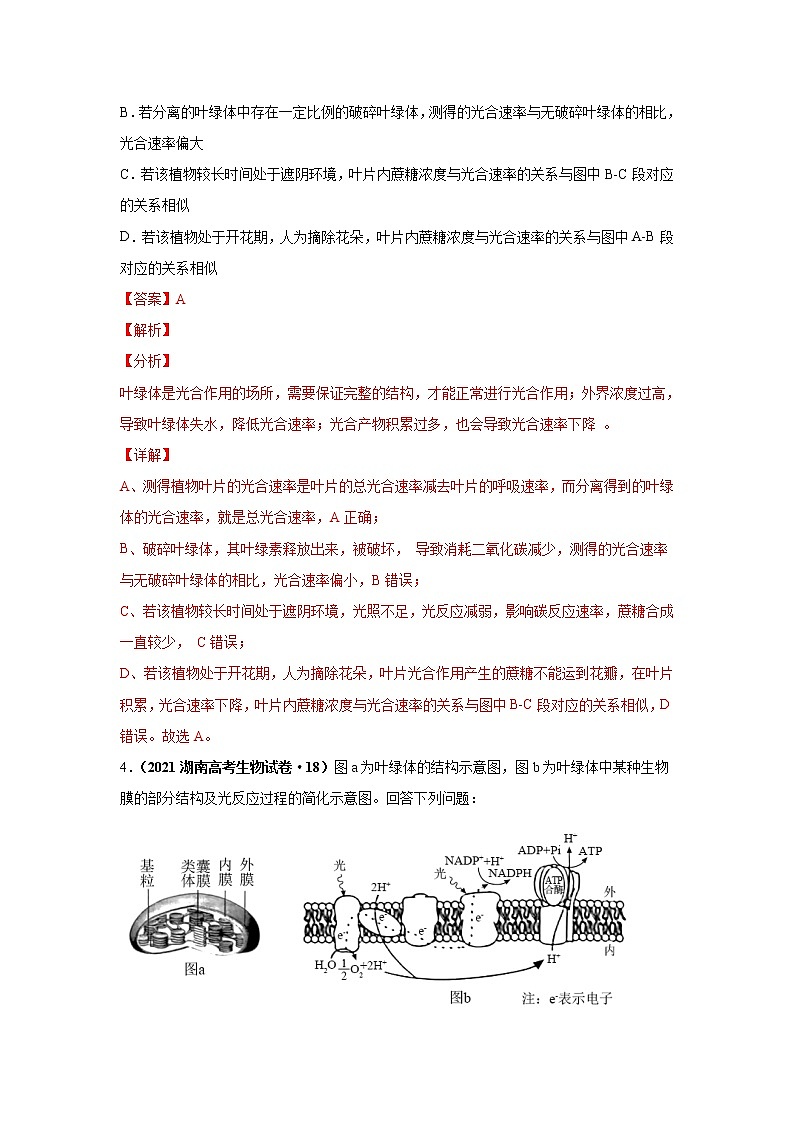 高中生物考点精讲6 光合作用与能量转化（作业）第3页