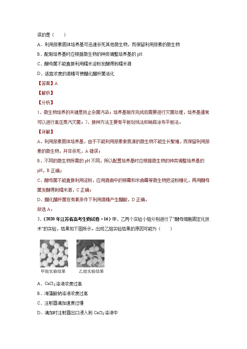 高中生物考点精讲14 发酵工程（作业）第2页
