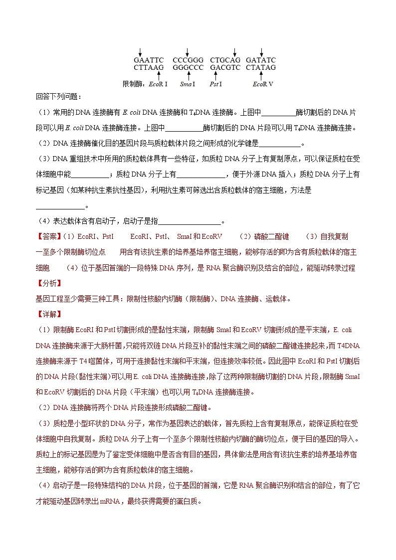 高中生物考点精讲16 基因工程、生物技术的安全性与伦理问题（作业）第2页