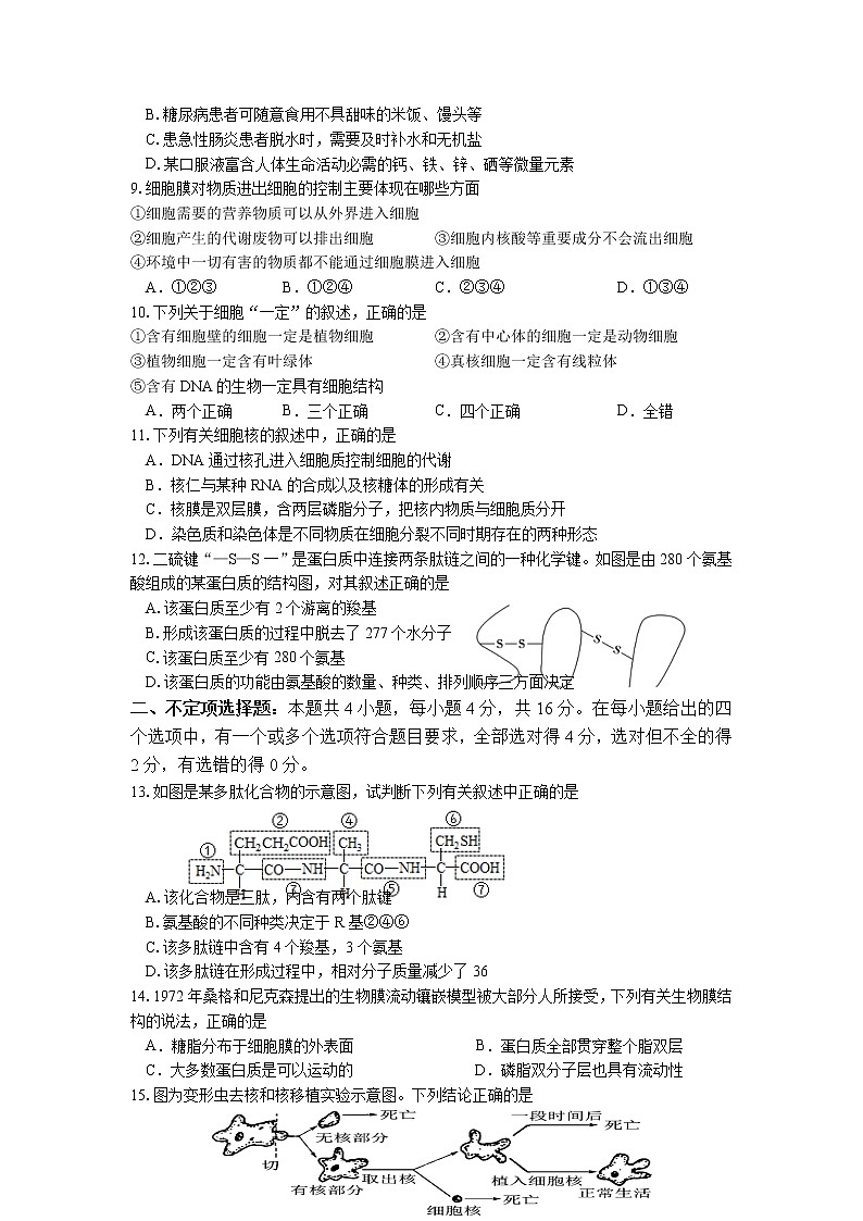 湖南省邵阳市武冈市2022-2023学年高一上学期期中考试生物试题02