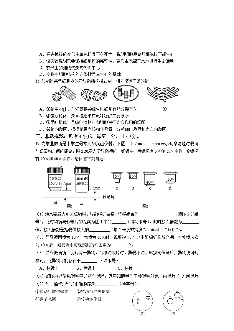 湖南省邵阳市武冈市2022-2023学年高一上学期期中考试生物试题03