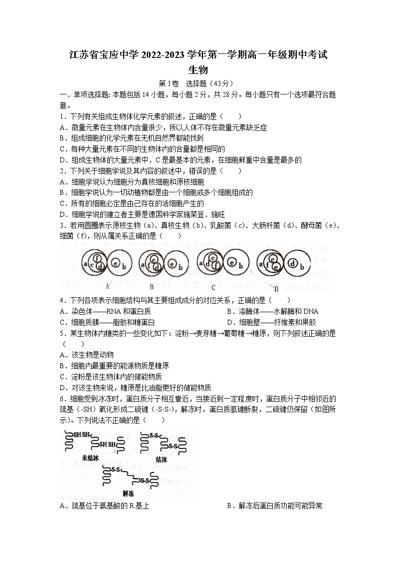 江苏省宝应中学2022-2023学年高一上学期期中生物试题(无答案)第1页