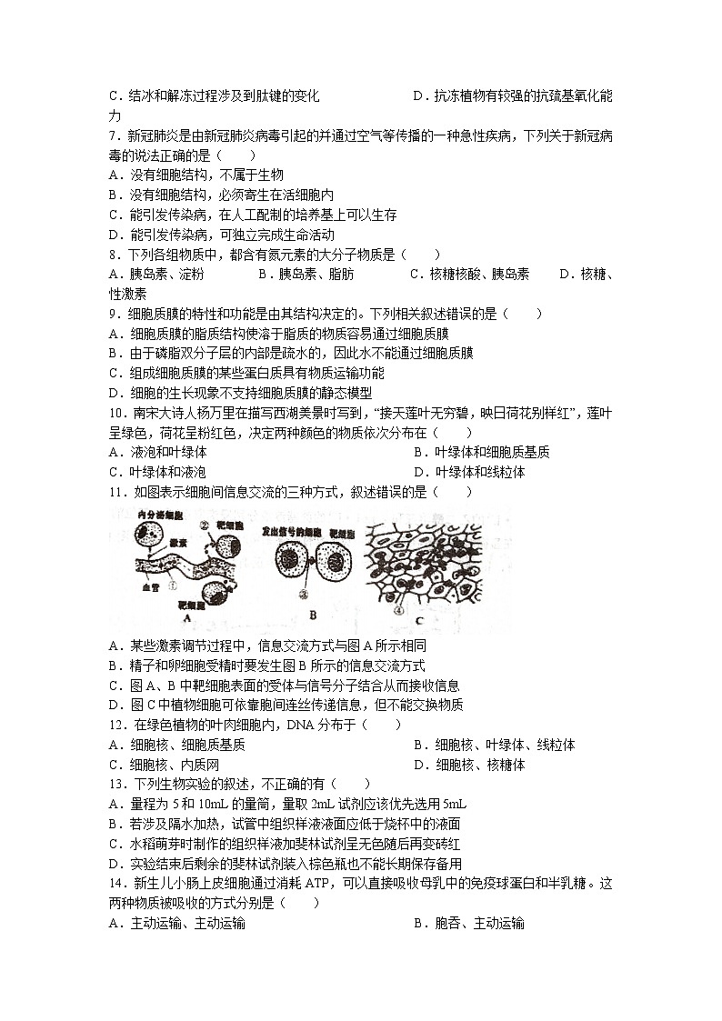 江苏省宝应中学2022-2023学年高一上学期期中生物试题(无答案)第2页
