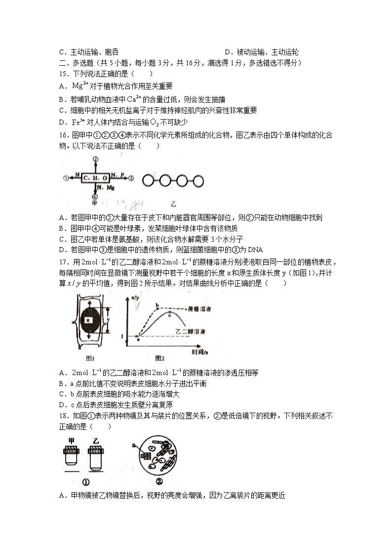 江苏省宝应中学2022-2023学年高一上学期期中生物试题(无答案)第3页
