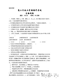 山东省临沂第十九中学2022-2023学年高二上学期期中考试生物试题