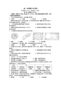 云南省部分名校2022-2023学年高一上学期期中生物试题（含答案）