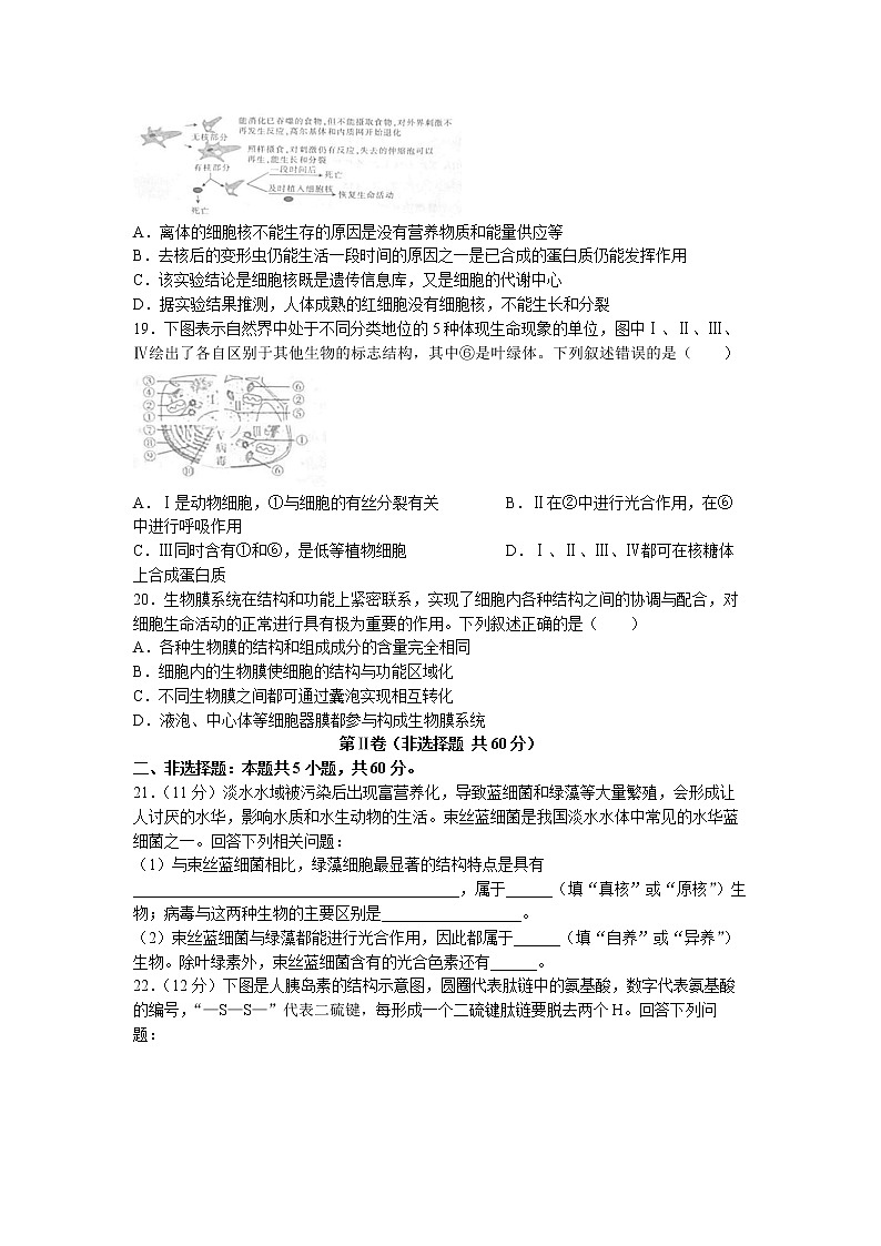 云南省部分名校2022-2023学年高一上学期期中生物试题（含答案）03