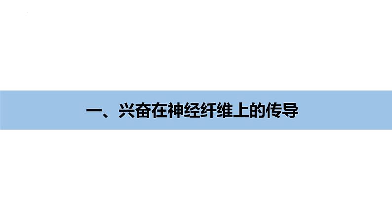 11神经冲动的产生和传导第4页