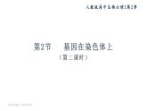 21人教版-必修2第2章第2节-基因在染色体上 课件