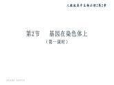 22人教版-必修2第2章第2节-基因在染色体上（第1课时） 课件