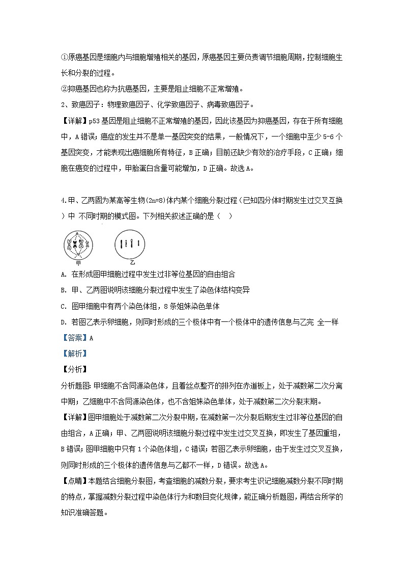 高中生物陕西省榆林市2019届高三生物下学期模拟第三次测试试卷（含解析）第3页