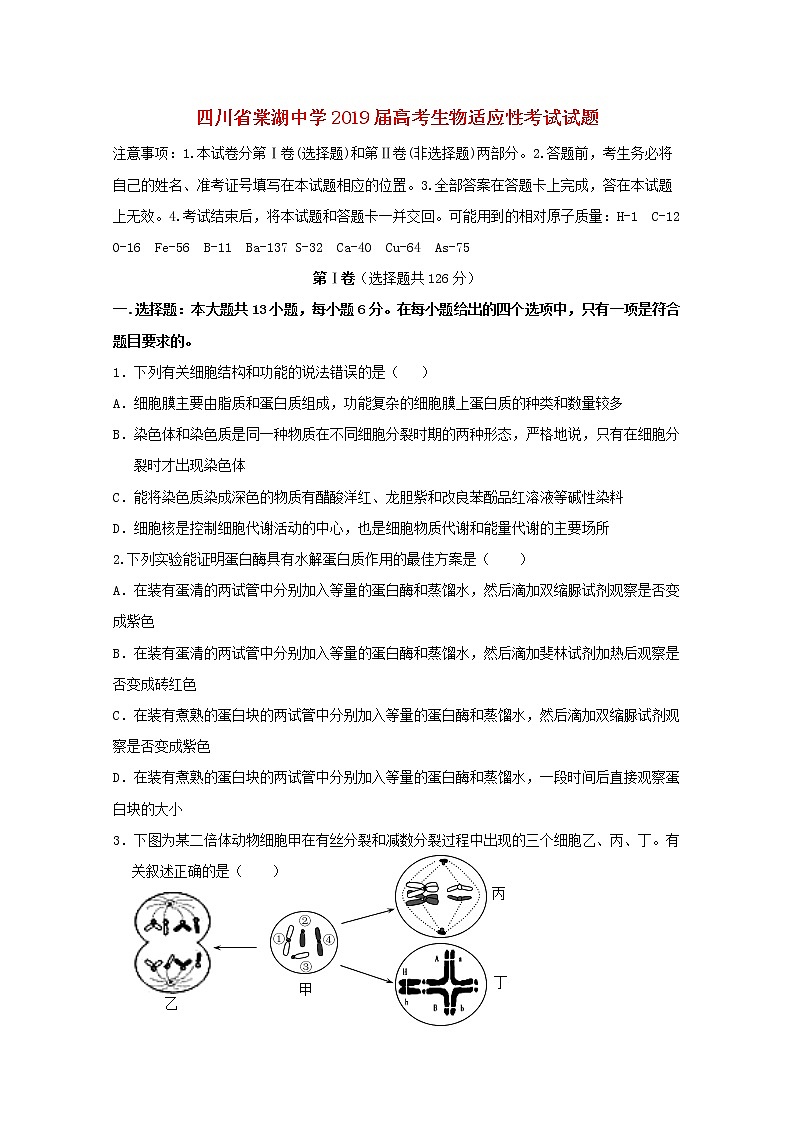 高中生物四川省棠湖中学2019届高考生物适应性考试试题第1页
