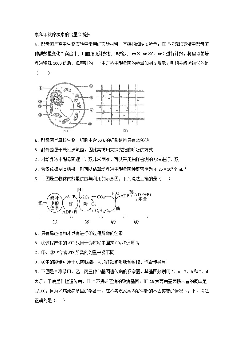 高中生物四川省宜宾市第四中学2019届高考生物适应性考试试题02