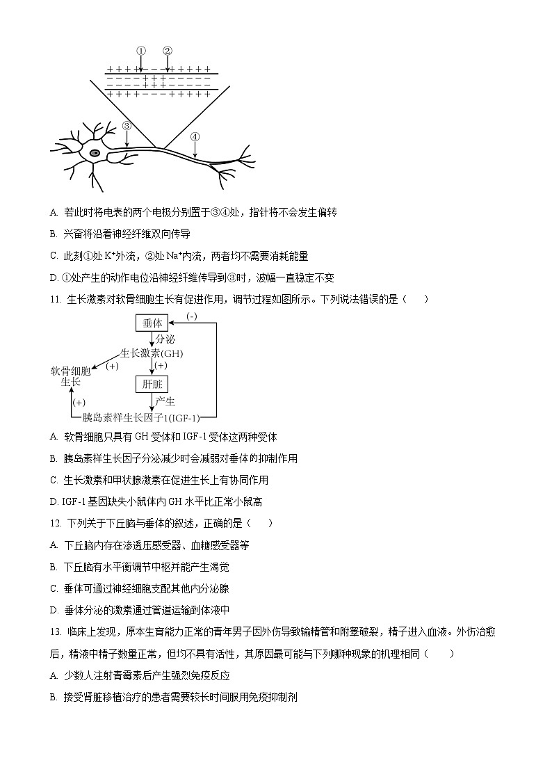2023宁波金兰教育合作组织高二上学期期中联考生物试题含解析03