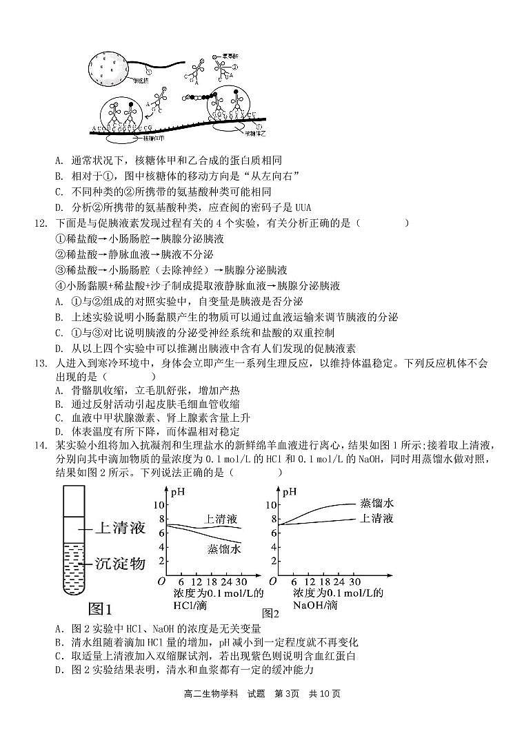 北斗联盟2022学年第一学期期中联考生物试题第3页