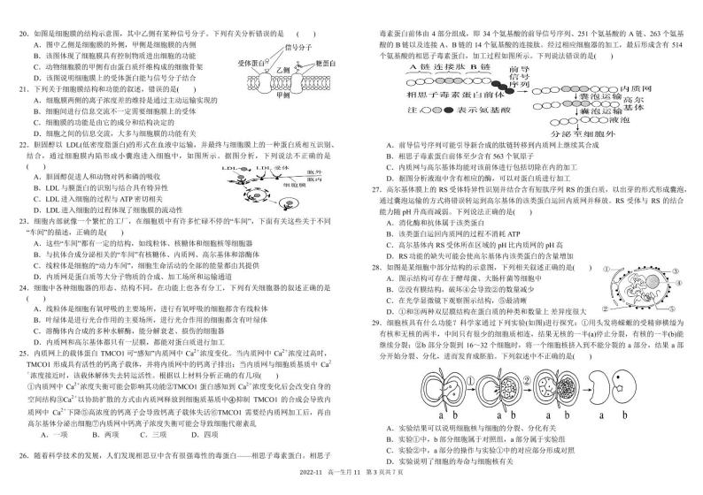 2023四川省树德中学高一上学期11月阶段性测试生物pdf版含答案（可编辑）03