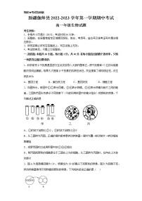 2023维吾尔自治区喀什地区伽师县高一上学期11月期中考试生物试题含答案