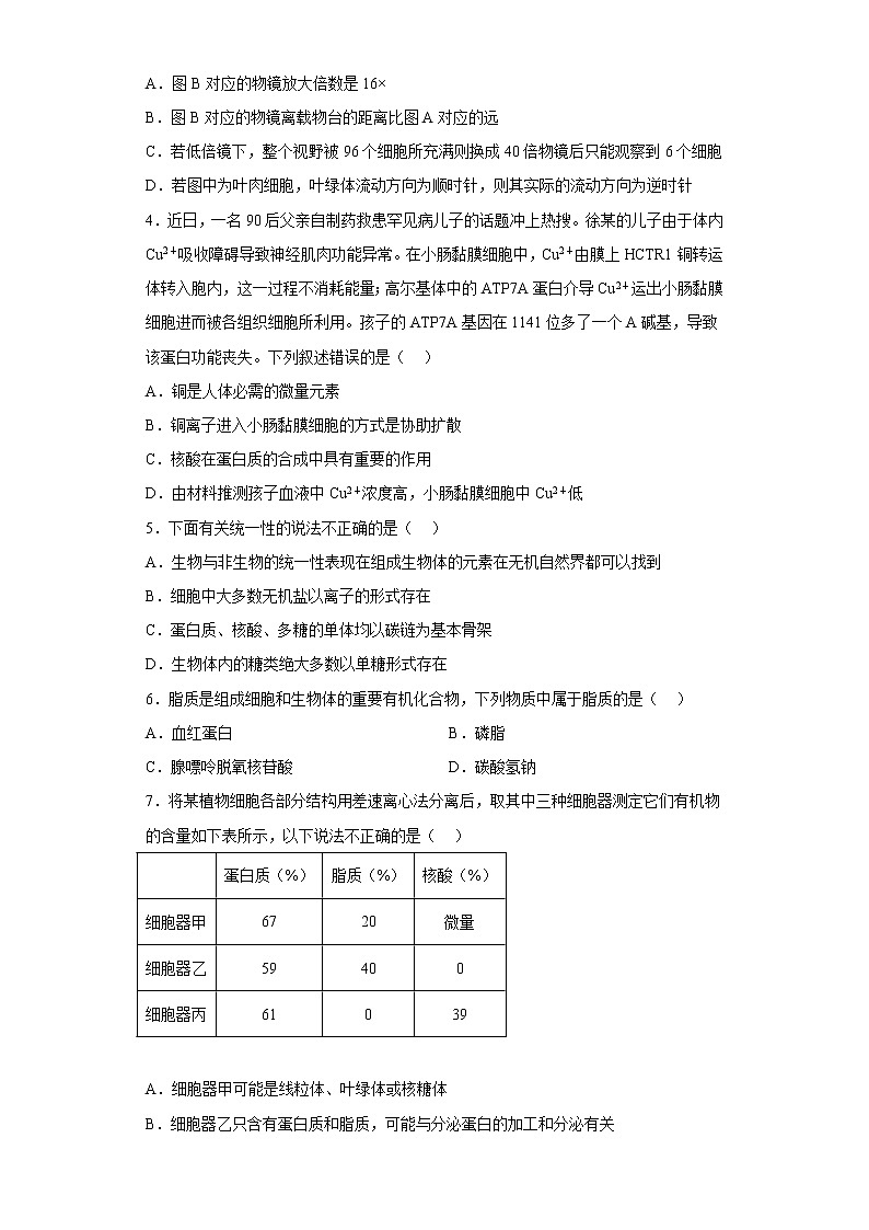 2023维吾尔自治区喀什地区伽师县高一上学期11月期中考试生物试题含答案第2页