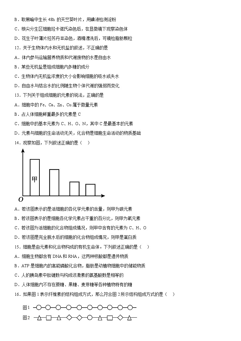2023维吾尔自治区和田地区民丰县高一上学期11月期中考试生物试题含答案第3页