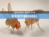 45《基因在染色体上》 课件