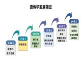 45《基因在染色体上》 课件