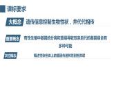 45《基因在染色体上》 课件