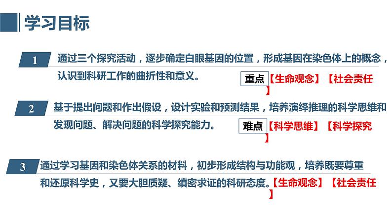 45《基因在染色体上》第4页