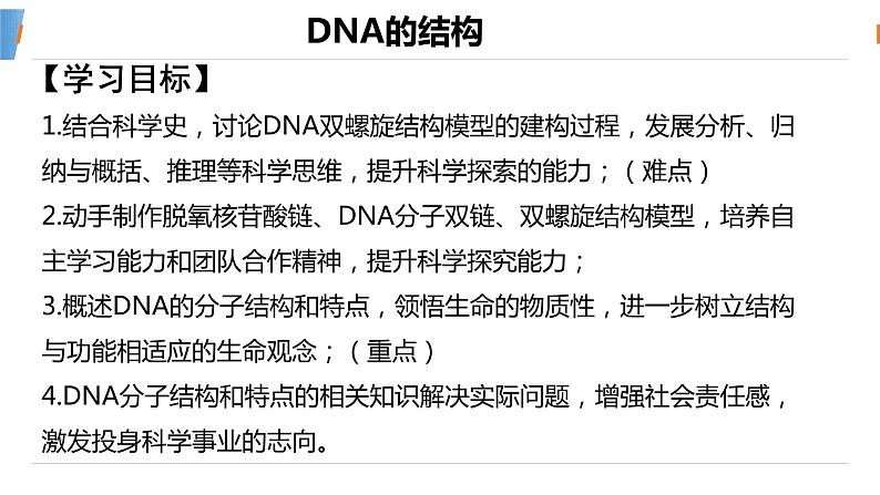 40DNA的结构第2页