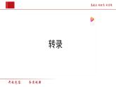 37基因指导蛋白质的合成（第2课时） 课件
