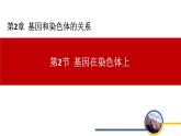 35基因在染色体上1 课件