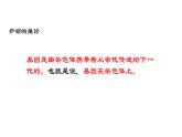 35基因在染色体上1 课件