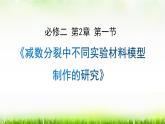 4在减数分裂中用不同材料模型制作的研究 课件
