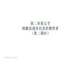 23人教版-必修1第2章第5节-核酸是遗传信息的携带者（第2课时） 课件