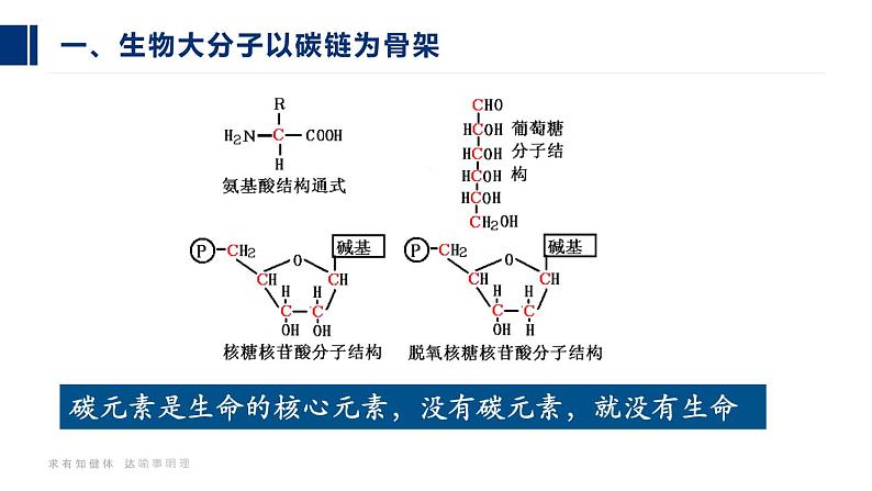 23人教版-必修1第2章第5节-核酸是遗传信息的携带者（第2课时）第8页