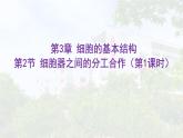 41细胞器之间的分工合作（第一课时） 课件