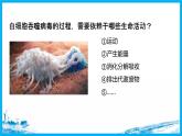 41细胞器之间的分工合作（第一课时） 课件