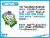 41细胞器之间的分工合作（第一课时） 课件