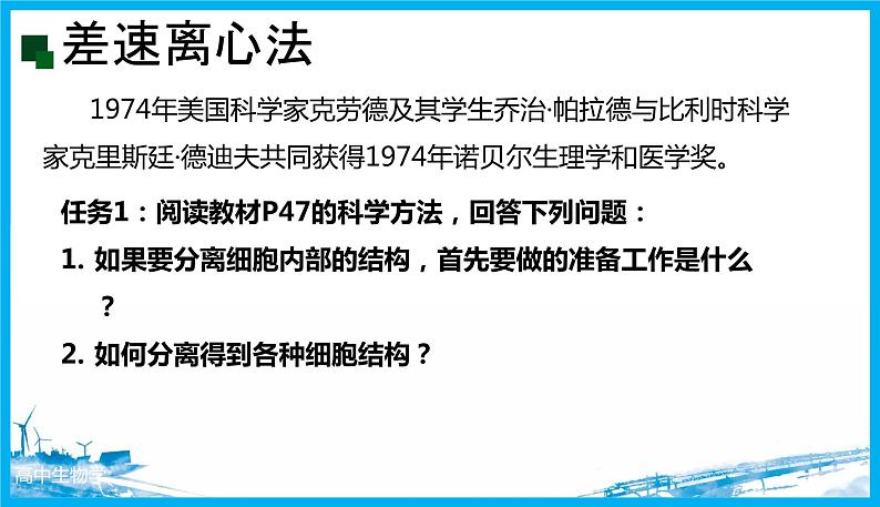 41细胞器之间的分工合作（第一课时）第6页