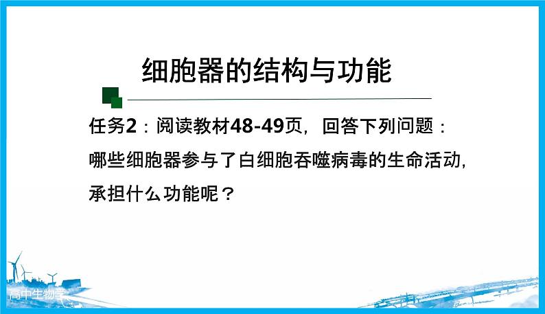 41细胞器之间的分工合作（第一课时）第8页