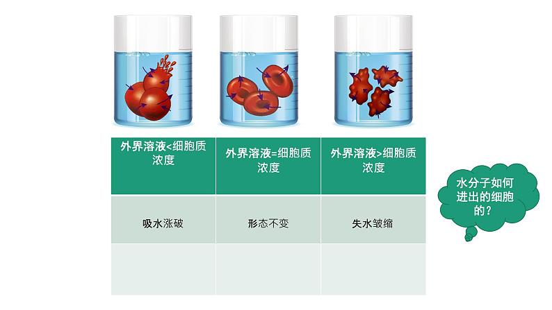 18人教版高中生物必修一第四章第一节-《被动运输（第1课时）》 (1)第3页