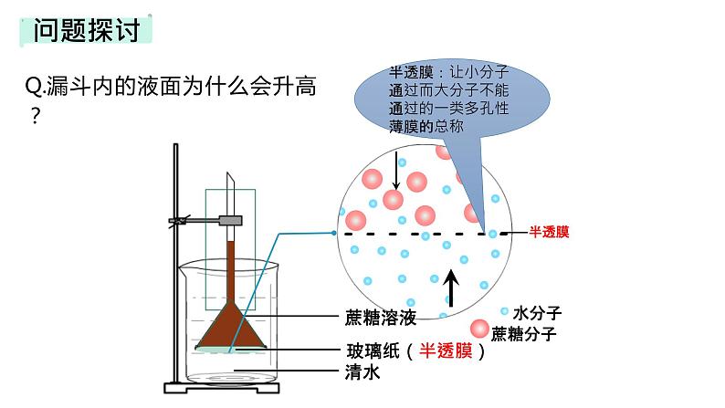 18人教版高中生物必修一第四章第一节-《被动运输（第1课时）》 (1)第5页