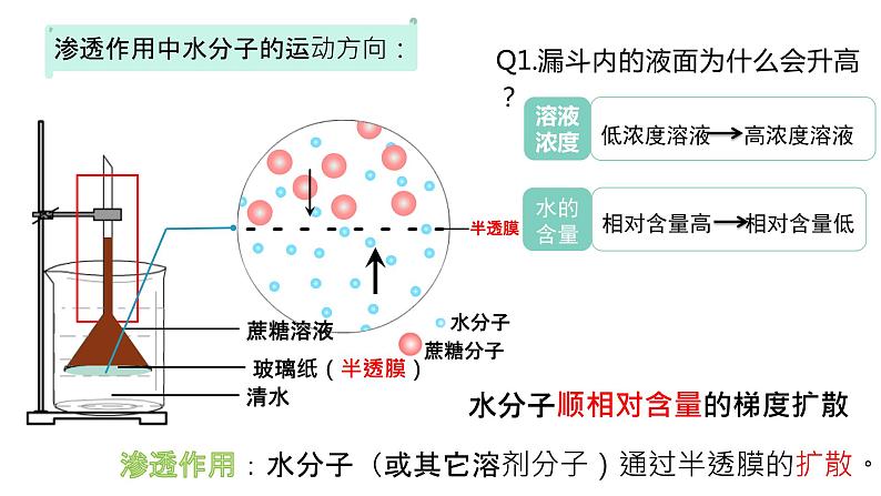 18人教版高中生物必修一第四章第一节-《被动运输（第1课时）》 (1)第6页