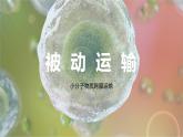 19人教版-高中生物-必修一第四章、第一节-《被动运输》第二课时课件