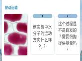 19人教版-高中生物-必修一第四章、第一节-《被动运输》第二课时课件